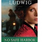 No Safe Harbor Free Kindle Book