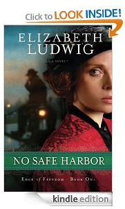 No Safe Harbor Free Kindle Book