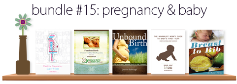 Pregnancy and Baby Ebook Bundle
