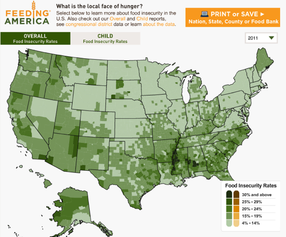 Food Insecurity Map