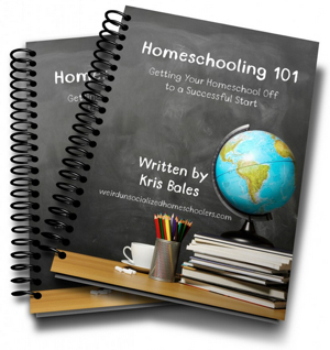Homeschooling 101 Ebook