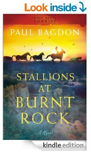 Stallions at Burnt Rock