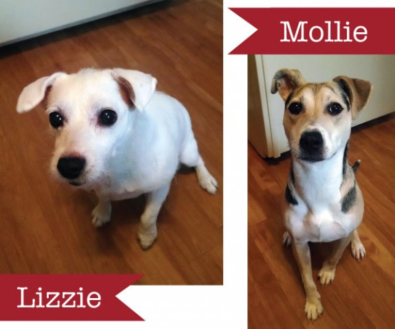 Lizzie-and-Mollie