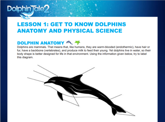 Dolphin Tale 2 Free Curriculum