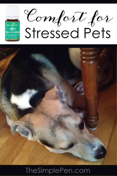 Essential Oils for Stressed Pets || TheSimplePen.com