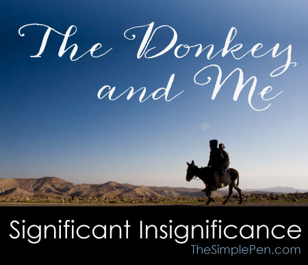 The Donkey and Me: Significant Insignificance || TheSimplePen.com