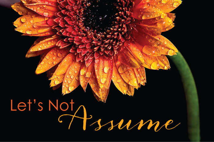 Let's Not Assume || TheSimplePen.com