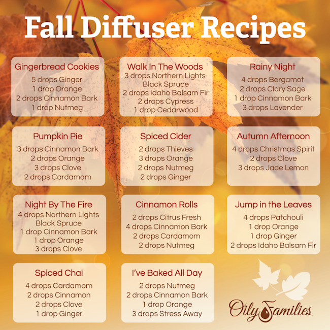 fall-diffuser-recipes