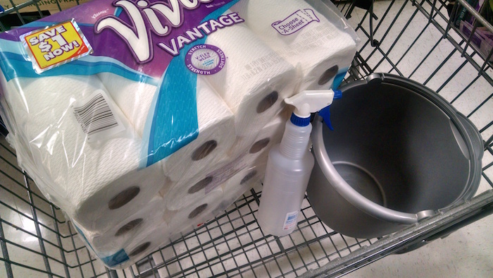 Cleaning Supplies from Walmart