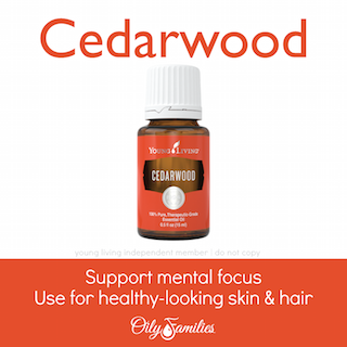 Cedarwood