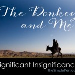 The Donkey and Me: Significant Insignificance || TheSimplePen.com